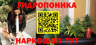 твердый Берёзовский