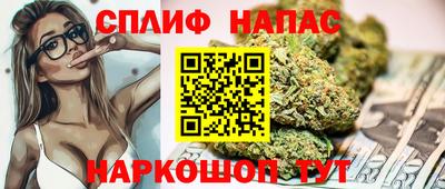 спиды Бийск