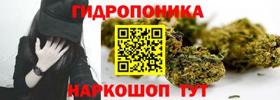 спиды Бийск
