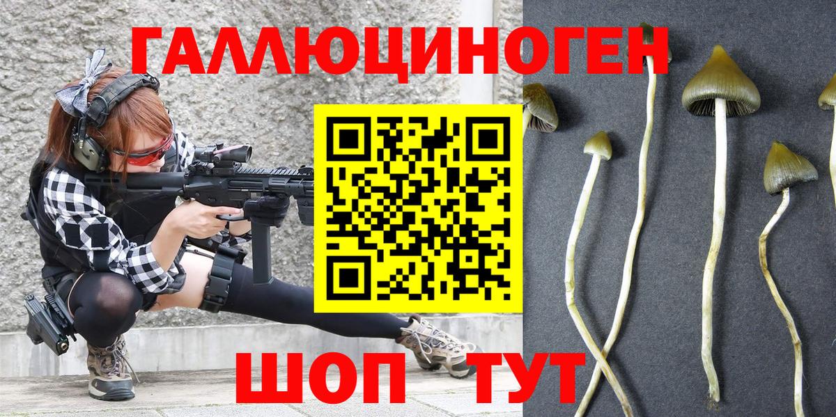 Галлюциногенные грибы ЛСД  где продают наркотики  Выкса  Вход с VPN  Галлюциногенные грибы Cubensis 